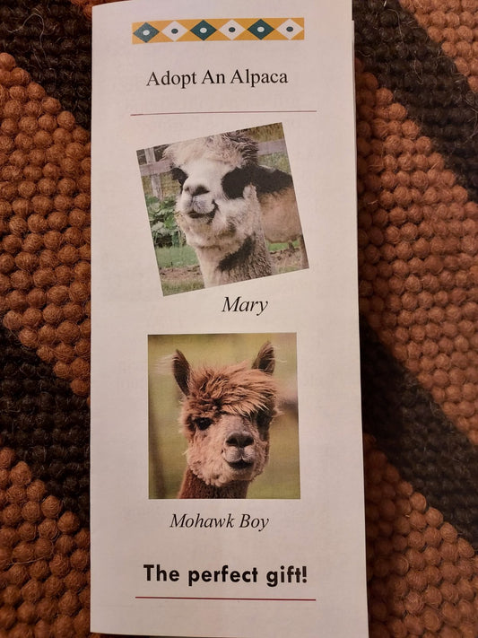 Adopt an alpaca brochure